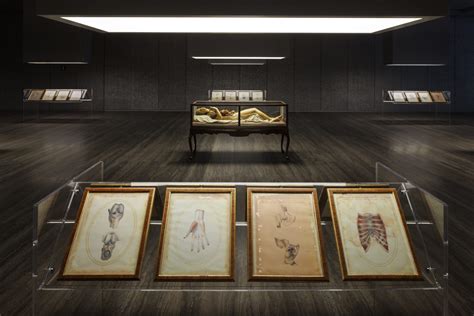 mostra cere anatomiche fondazione prada|CERE ANATOMICHE – Fondazione Prada.